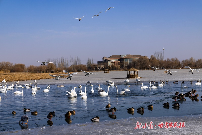 张掖国家湿地公园