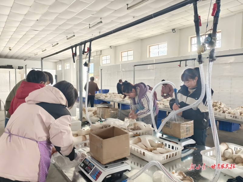 宁县太昌镇食用菌包装车间