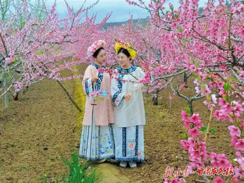 花事预热启新程 临夏县整装待发激活乡村旅游迎客潮