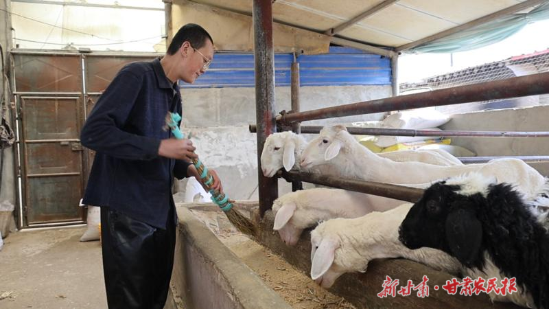 沙俊祥：深山农户变身养殖能手 传技带邻共增收