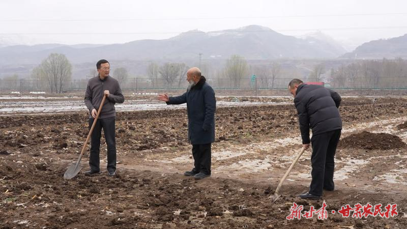 广河：降雨送墒润农田 抢抓农时忙春耕