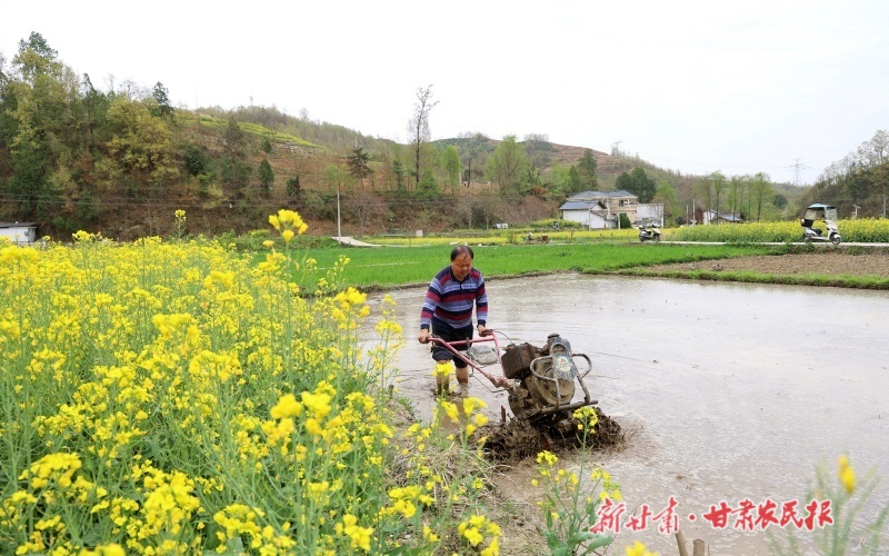 康县：&ldquo;稻乡&rdquo;育苗忙