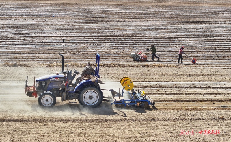 民乐县民联镇千亩茴香种植基地