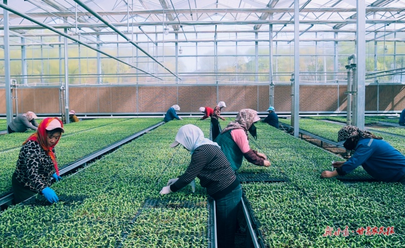 崇信县汭河川现代循环农业示范园