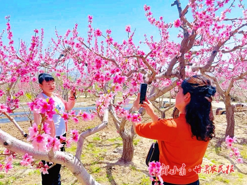 临夏县&ldquo;花式&rdquo;激活春日经济新动能