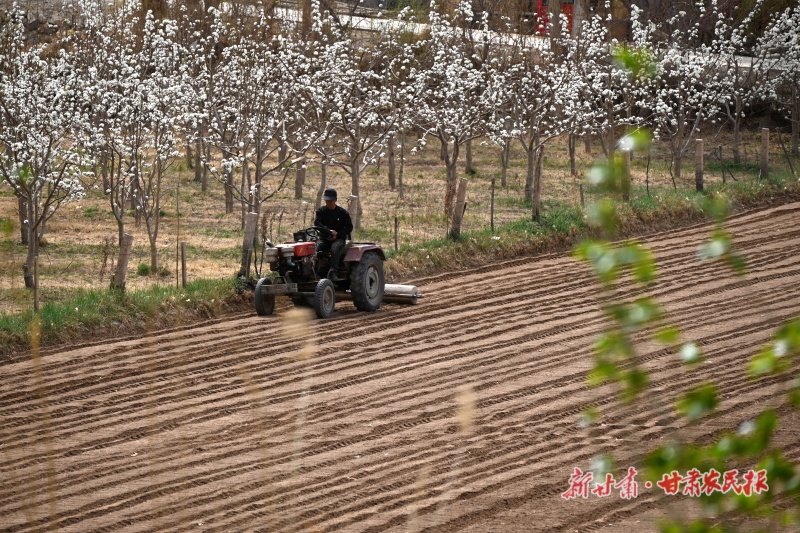 敦煌市农民抢抓农时开展春耕生产