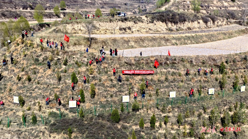 陇西县碧岩镇开展春季义务植树活动