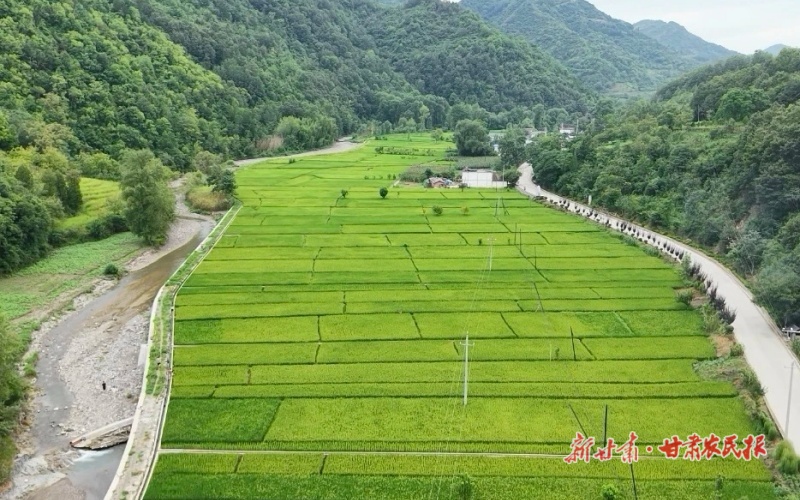康县：党建引领 &ldquo;三区&rdquo; 联建共治促发展