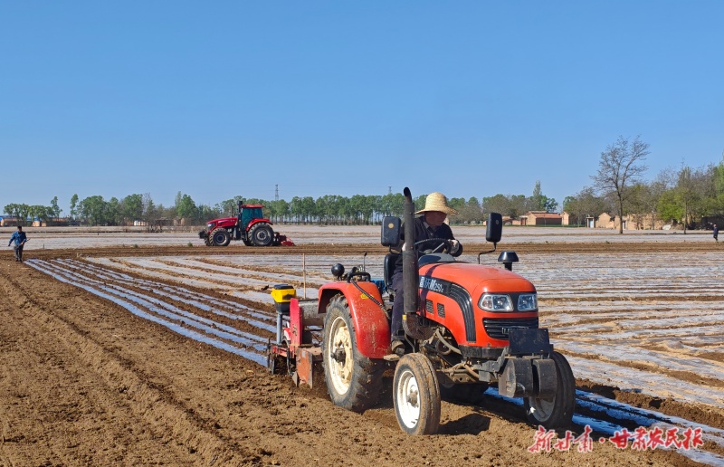泾川县玉都镇群众抢抓墒情耕种