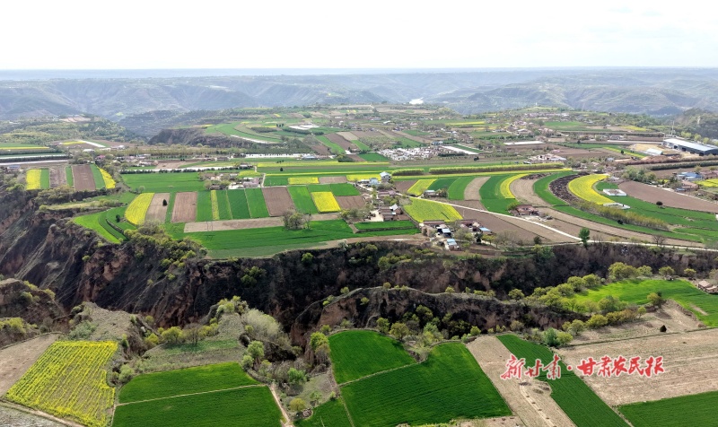 西峰区广袤田野