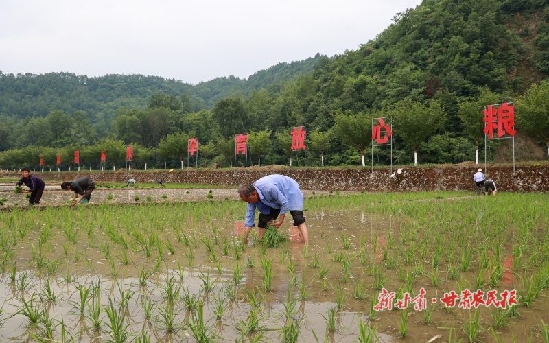 康  县