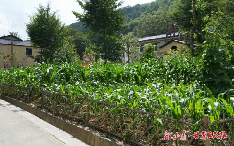 康  县