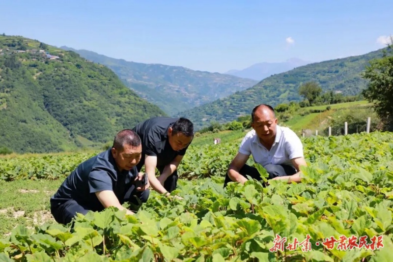 &ldquo;簪花之路&rdquo;串珠成链景生金