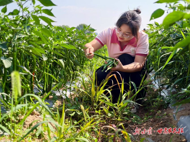 【巾帼新农人②】&ldquo;陇上辣小红&rdquo;炼成记