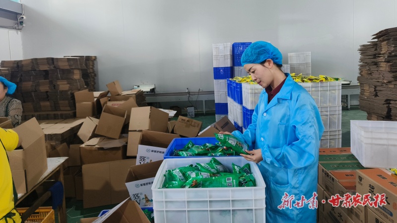 【巾帼新农人④】13000次试验 只为酿好一碗陇原浆水